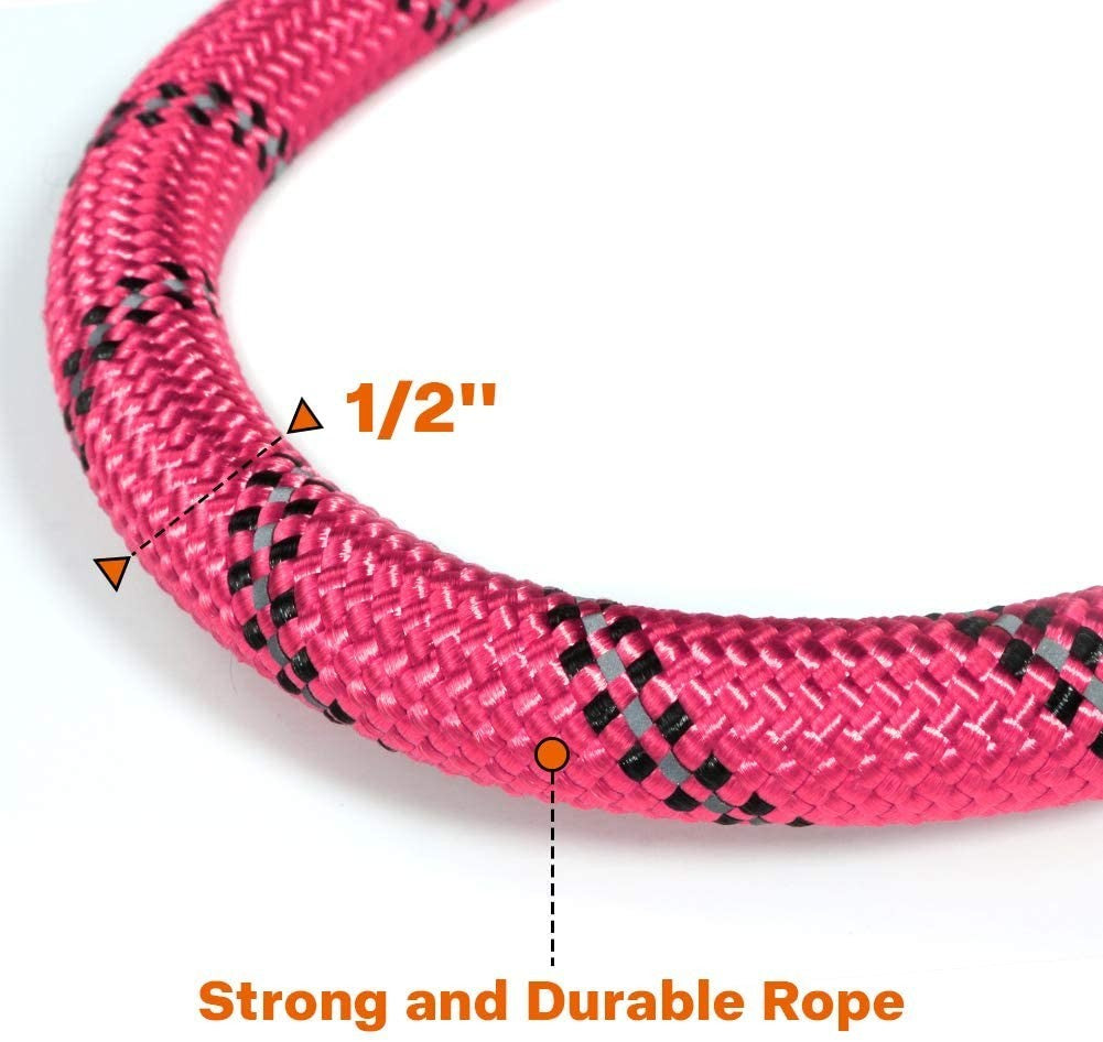 Premium Extra Strong Reflective Dog Leash with Foam Padded Handle, 5ft (150cm)