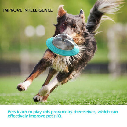 Interactive Pet Treat Dispenser Ball for Dogs and Cats - Puzzle Toy for Engaging Play and Slow Feeding