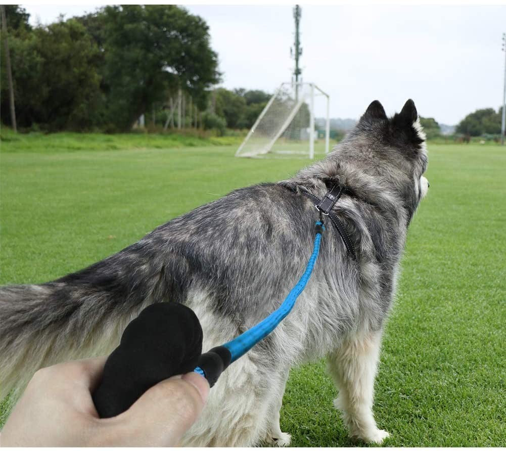 Premium Extra Strong Reflective Dog Leash with Foam Padded Handle, 5ft (150cm)