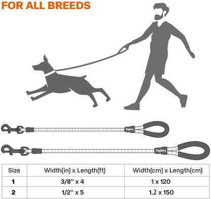 Premium Extra Strong Reflective Dog Leash with Foam Padded Handle, 5ft (150cm)