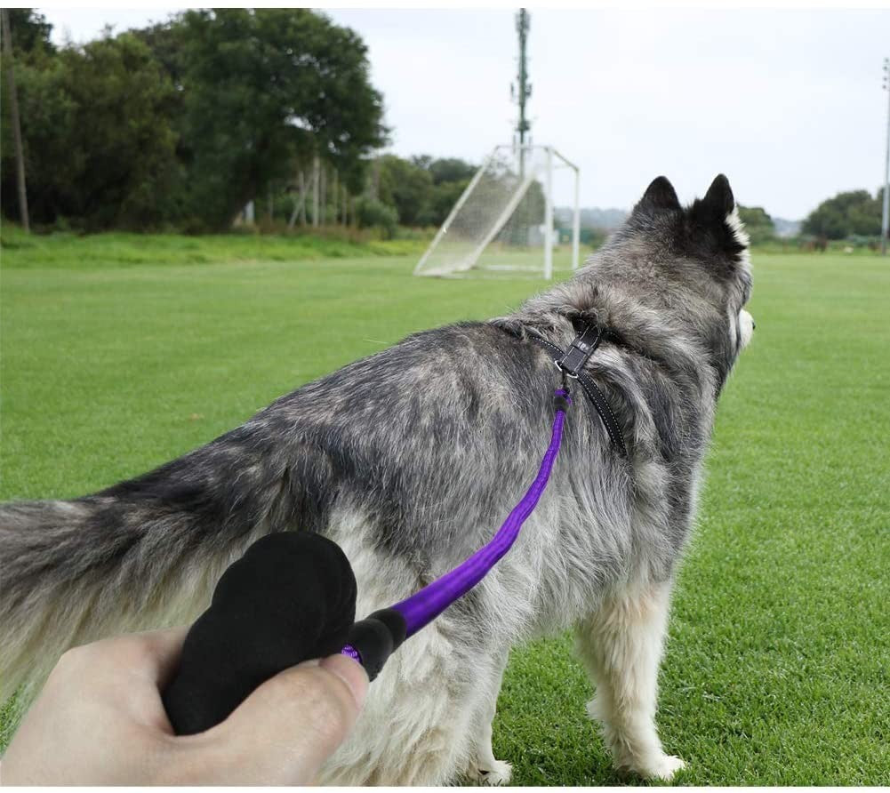 Premium Extra Strong Reflective Dog Leash with Foam Padded Handle, 5ft (150cm)