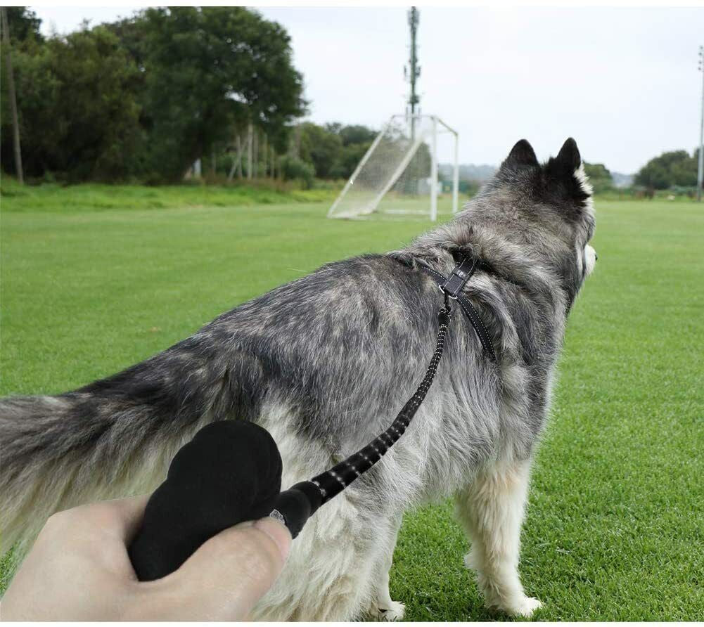 Premium Extra Strong Reflective Dog Leash with Foam Padded Handle, 5ft (150cm)