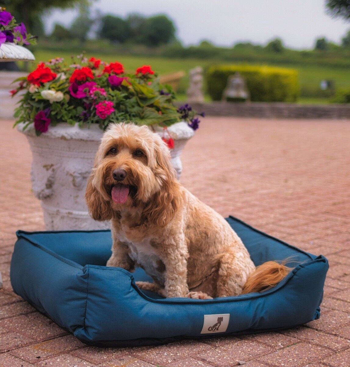 Dexter Dog Bed by All Pet Solutions - Durable, Waterproof, and Washable Basket Design