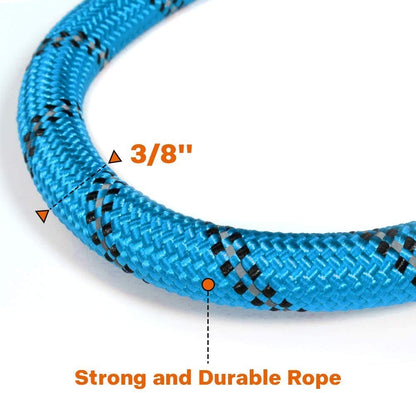 Premium Extra Strong Reflective Dog Leash with Foam Padded Handle, 5ft (150cm)