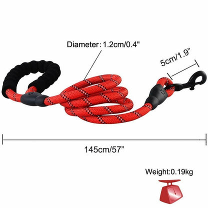 Premium Extra Strong Reflective Dog Leash with Foam Padded Handle, 5ft (150cm)