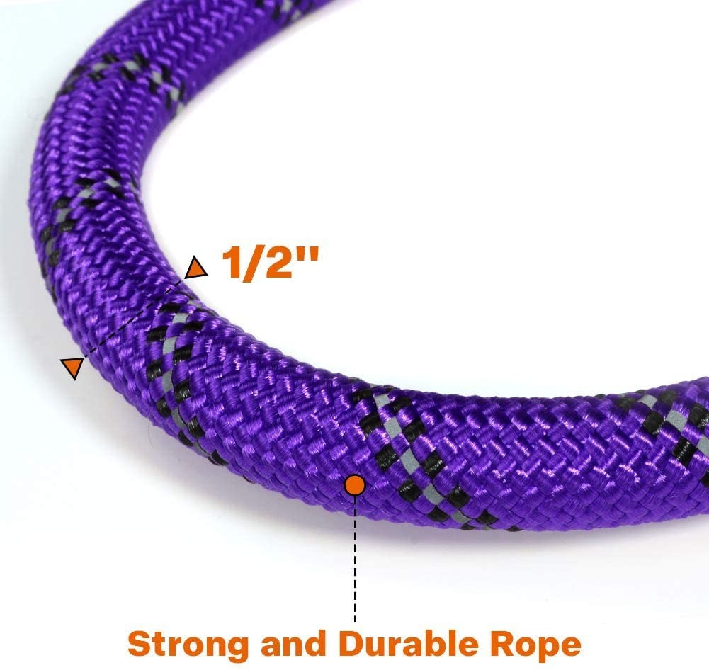 Premium Extra Strong Reflective Dog Leash with Foam Padded Handle, 5ft (150cm)