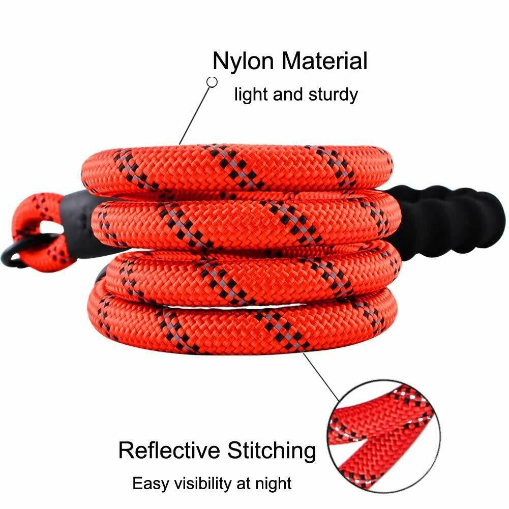 Premium Extra Strong Reflective Dog Leash with Foam Padded Handle, 5ft (150cm)