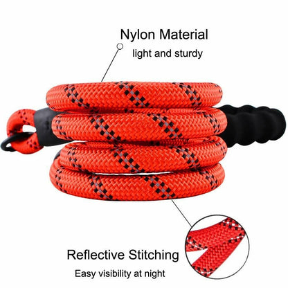 Premium Extra Strong Reflective Dog Leash with Foam Padded Handle, 5ft (150cm)