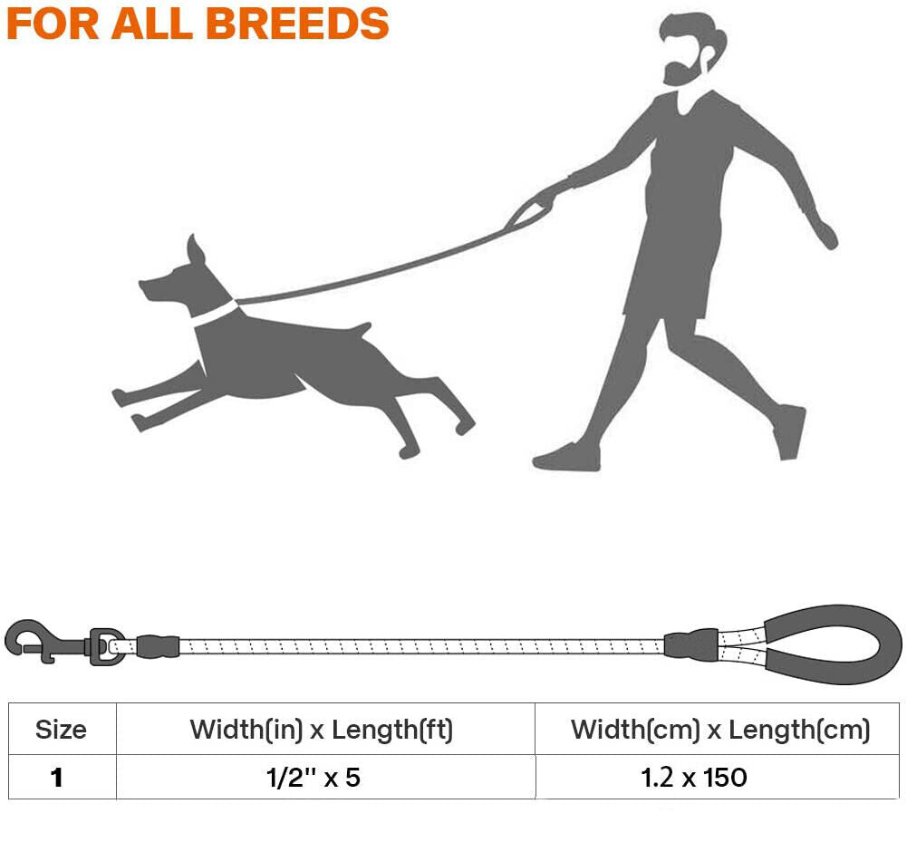 Premium Extra Strong Reflective Dog Leash with Foam Padded Handle, 5ft (150cm)