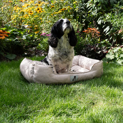 Dexter Dog Bed by All Pet Solutions - Durable, Waterproof, and Washable Basket Design