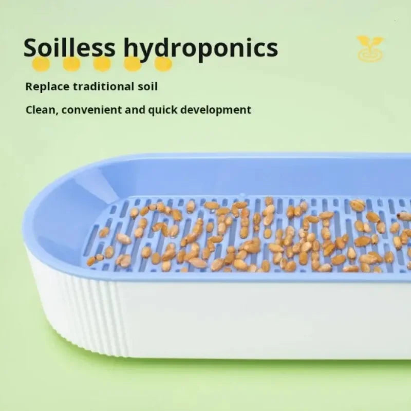 Hydroponic Cat Grass Kit - Soilless Planting Set for Easy Growth of Catnip and Cat Treats
