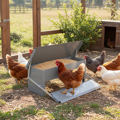 5KG Automatic Outdoor Treadle Feeder for Chickens, Ducks, Geese, and Pheasants