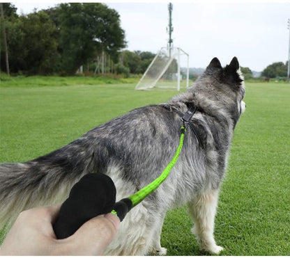 Premium Extra Strong Reflective Dog Leash with Foam Padded Handle, 5ft (150cm)