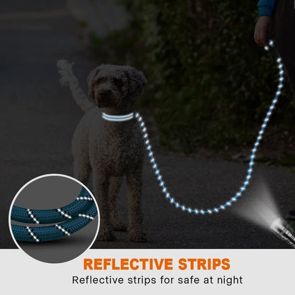 Premium Extra Strong Reflective Dog Leash with Foam Padded Handle, 5ft (150cm)
