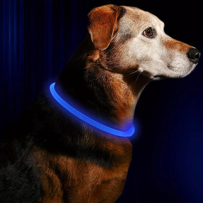 LED Illuminated Dog Collar with Anti-Lost Feature - USB Rechargeable Pet Necklace