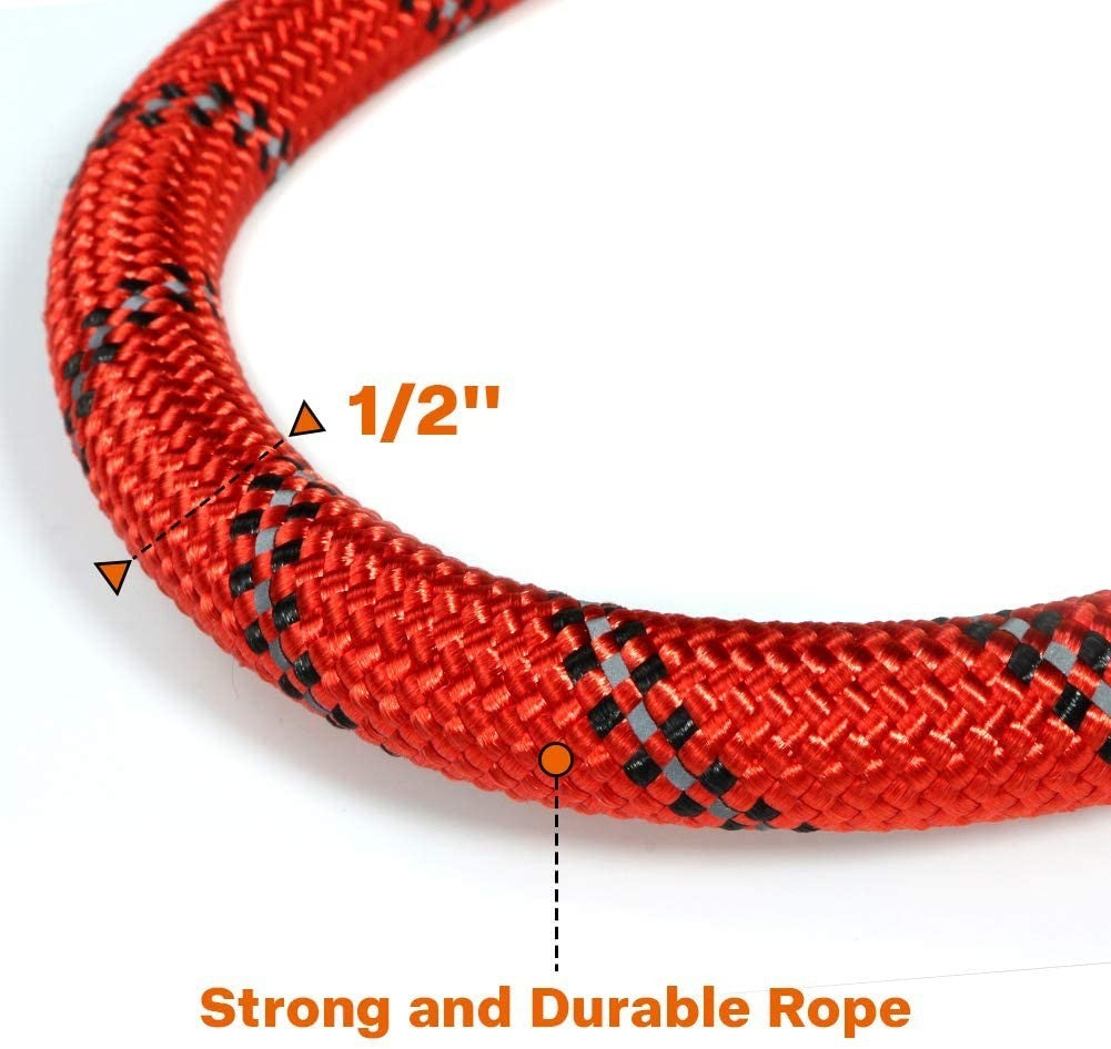 Premium Extra Strong Reflective Dog Leash with Foam Padded Handle, 5ft (150cm)