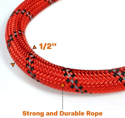 Premium Extra Strong Reflective Dog Leash with Foam Padded Handle, 5ft (150cm)