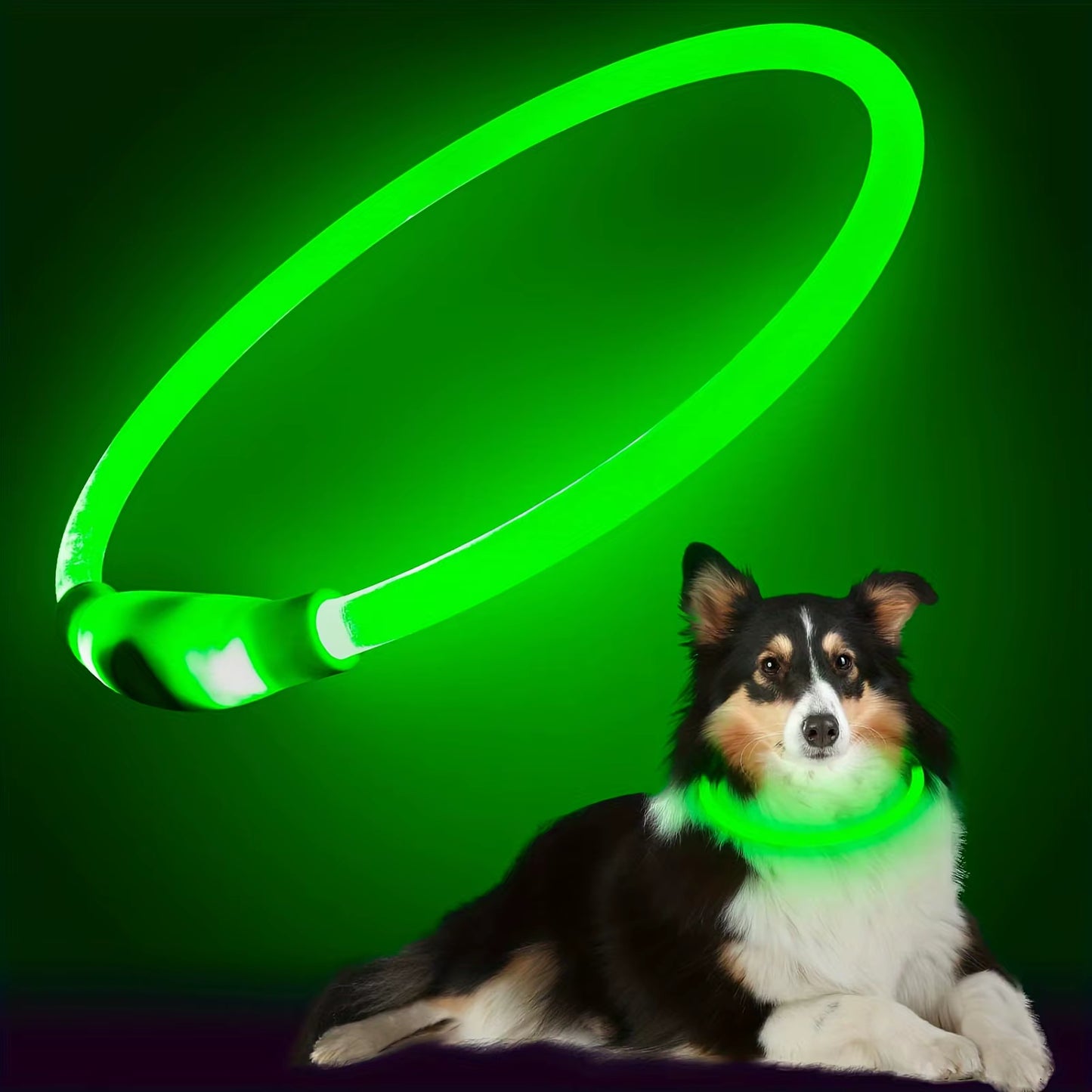 LED Illuminated Dog Collar with Anti-Lost Feature - USB Rechargeable Pet Necklace