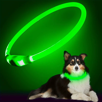 LED Illuminated Dog Collar with Anti-Lost Feature - USB Rechargeable Pet Necklace