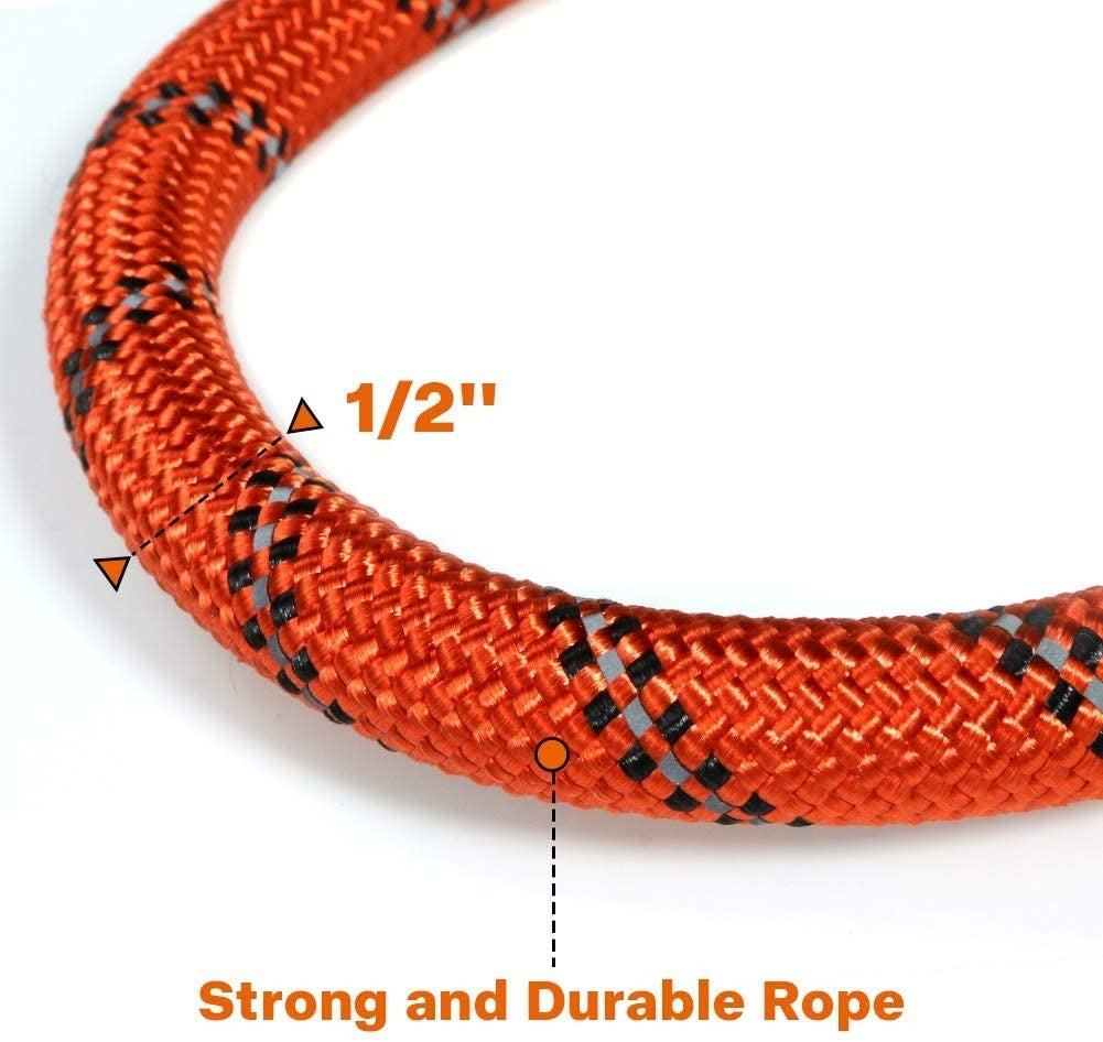 Premium Extra Strong Reflective Dog Leash with Foam Padded Handle, 5ft (150cm)