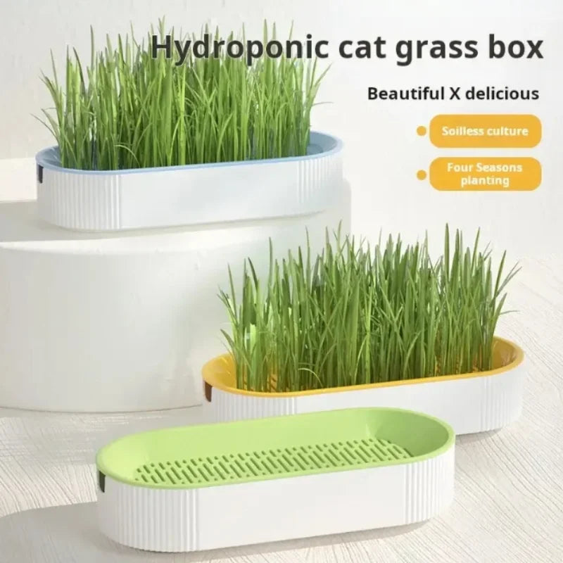 Hydroponic Cat Grass Kit - Soilless Planting Set for Easy Growth of Catnip and Cat Treats
