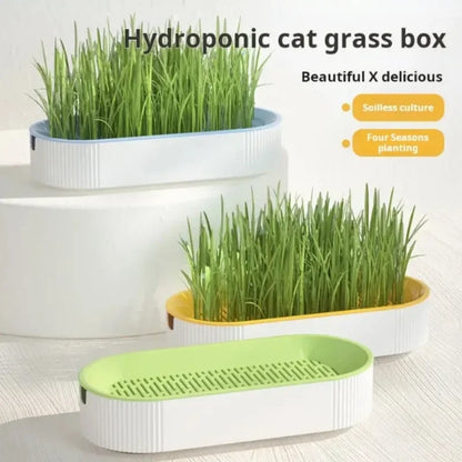 Hydroponic Cat Grass Kit - Soilless Planting Set for Easy Growth of Catnip and Cat Treats