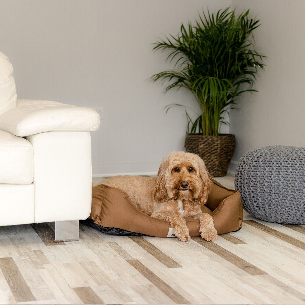 Dexter Dog Bed by All Pet Solutions - Durable, Waterproof, and Washable Basket Design