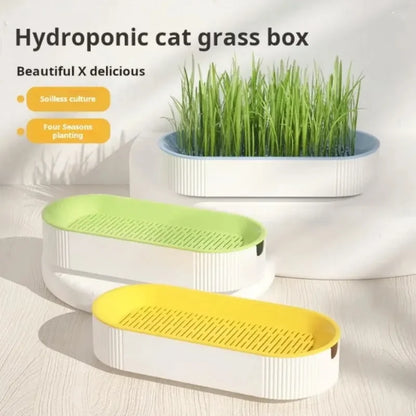 Hydroponic Cat Grass Kit - Soilless Planting Set for Easy Growth of Catnip and Cat Treats
