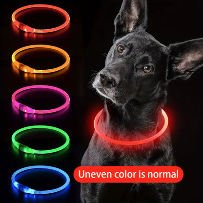 LED Illuminated Dog Collar with Anti-Lost Feature - USB Rechargeable Pet Necklace