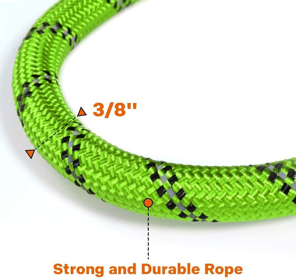 Premium Extra Strong Reflective Dog Leash with Foam Padded Handle, 5ft (150cm)